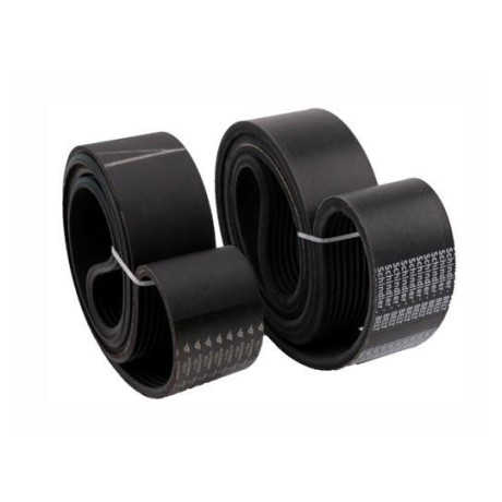 dotch belt